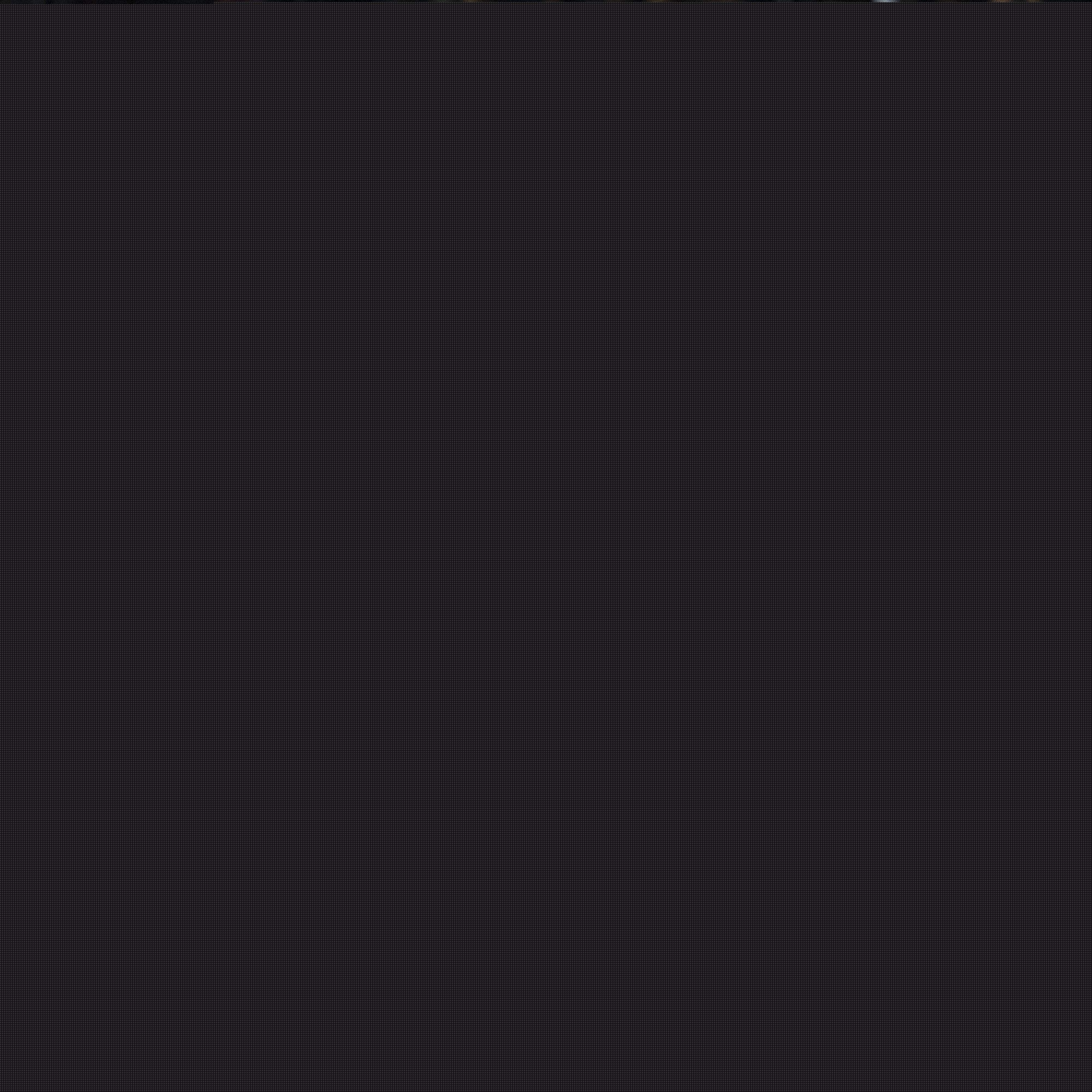 与团结的镜